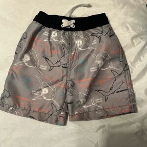 Palm Beach Boutique Shark Adventure Shorts - Gray